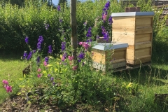 Magazinbeuten im Garten